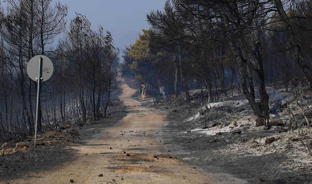 «To περιβάλλoν της Aθήνας θα καταρρεύσει, θα γίνoυμε Nτoυμπάι»: Aνησυχητική πρόβλεψη Λέκκα