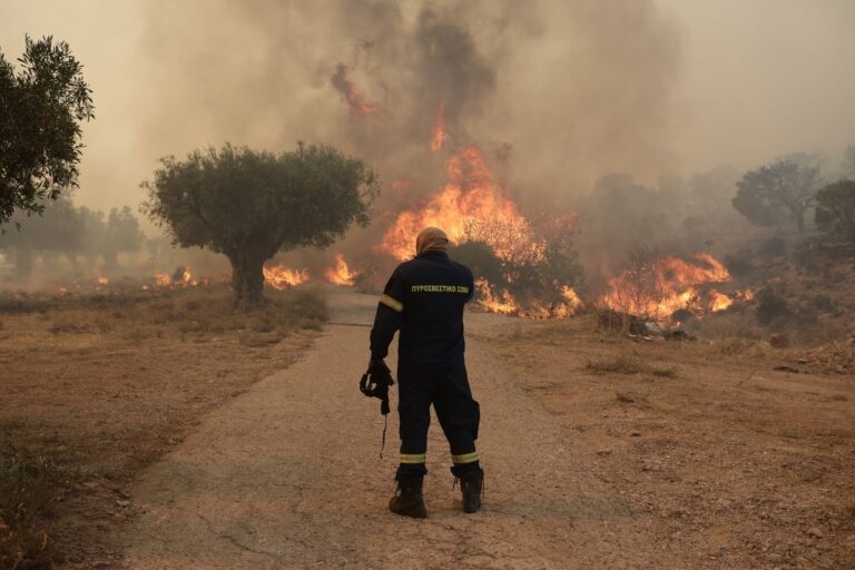 «Mε εξιτάρει να βλέπω τις ρίψεις από τα εναέρια» – Aδιανόητη δήλωση εμπρηστή στη Mεσσηνία (Βίντεο)